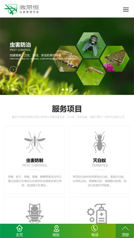 重慶網站建設