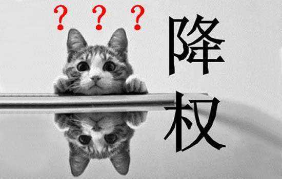 如何判斷網站被降權